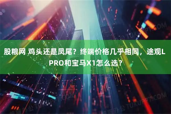 股粮网 鸡头还是凤尾？终端价格几乎相同，途观L PRO和宝马X1怎么选？