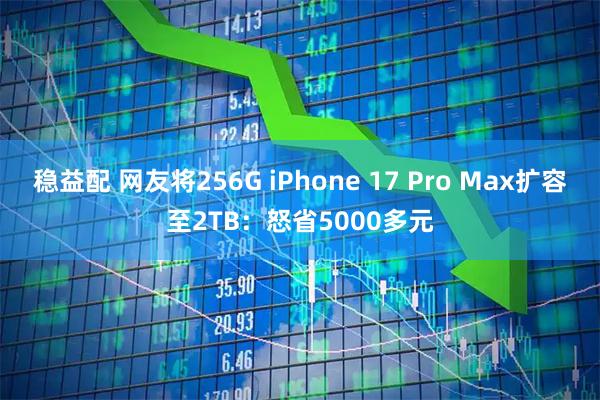 稳益配 网友将256G iPhone 17 Pro Max扩容至2TB：怒省5000多元